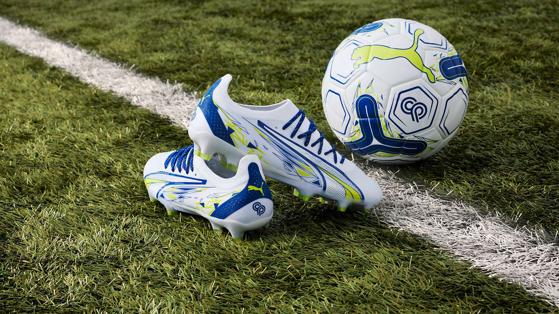 球迷文化 球迷文化